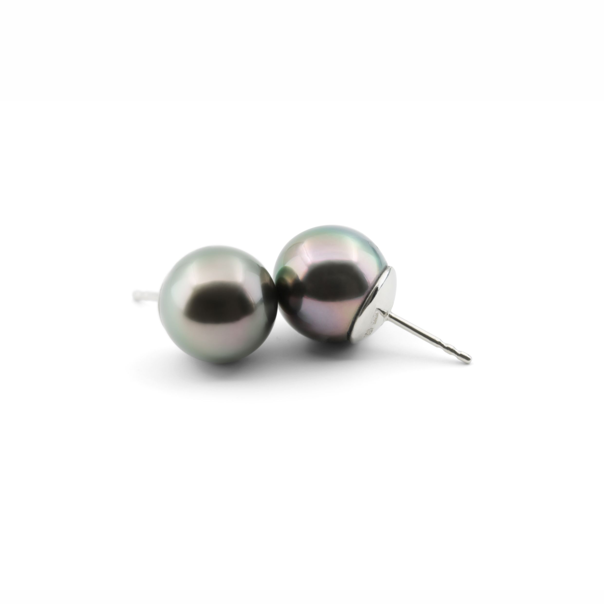 Tahitian Pearl Stud Earrings